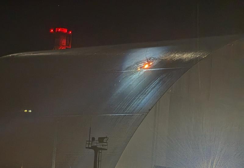 10月27日外媒报道，切尔诺贝利核电站附近惊现多只蓝色狗。“切尔诺贝利之犬”团队