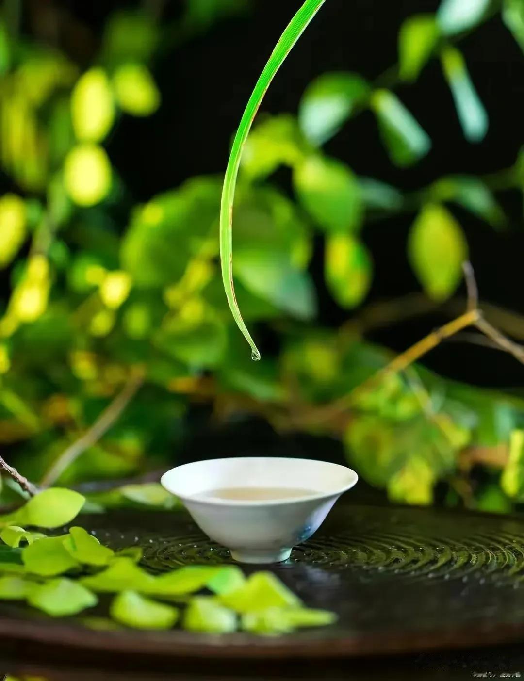 冬与暖阳为伴，时听四季清歌（首发）
