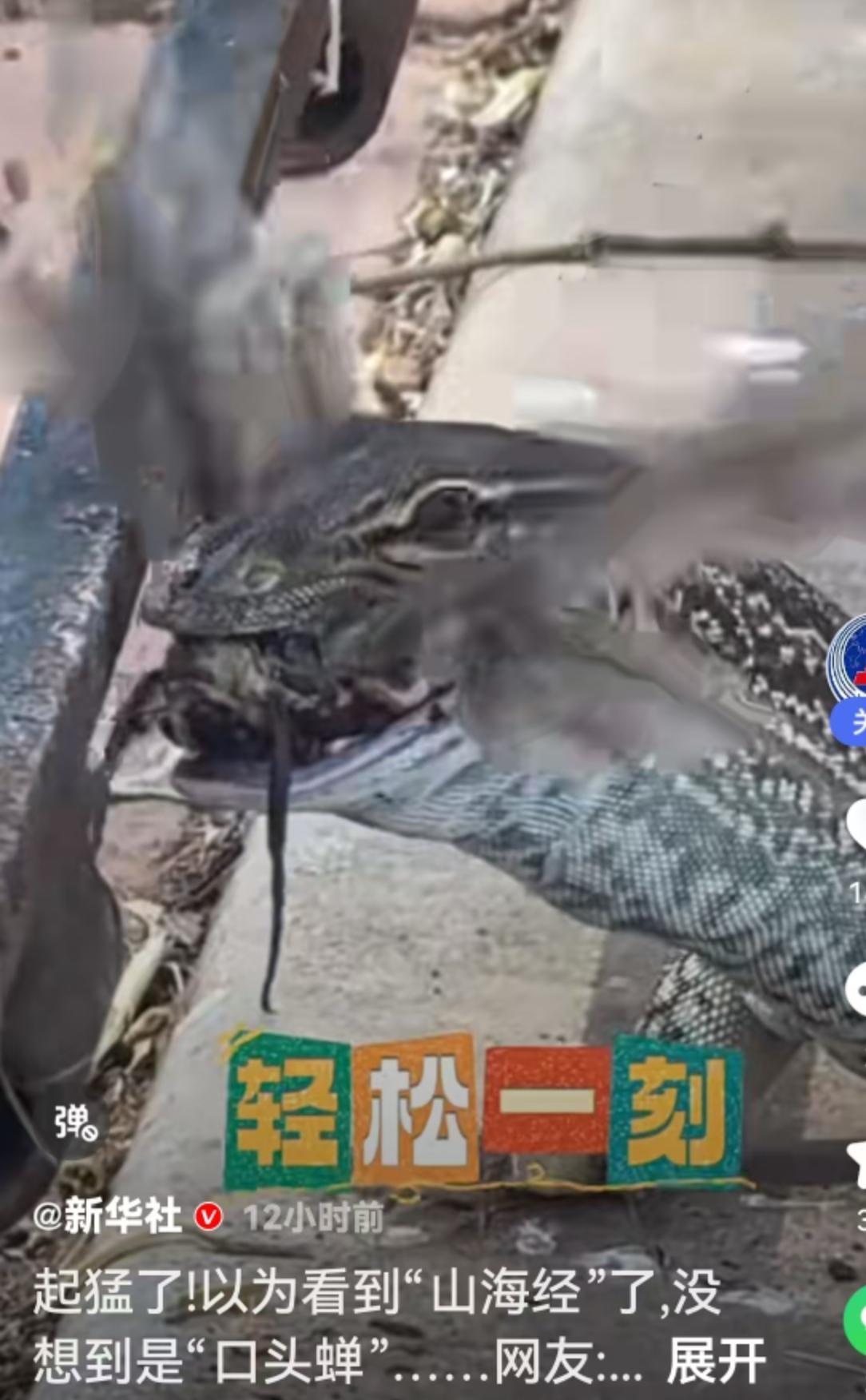 最近，一段只有短短几秒的视频，在网络上像是长了翅膀一样迅速传播，甚至引发了一场关