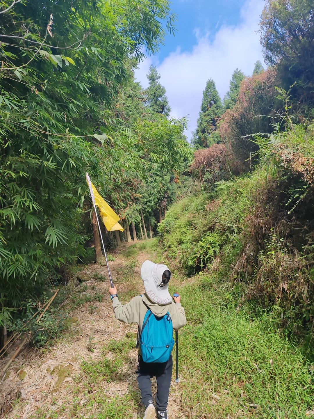 亲子赏秋徒步路线｜青峰彩林