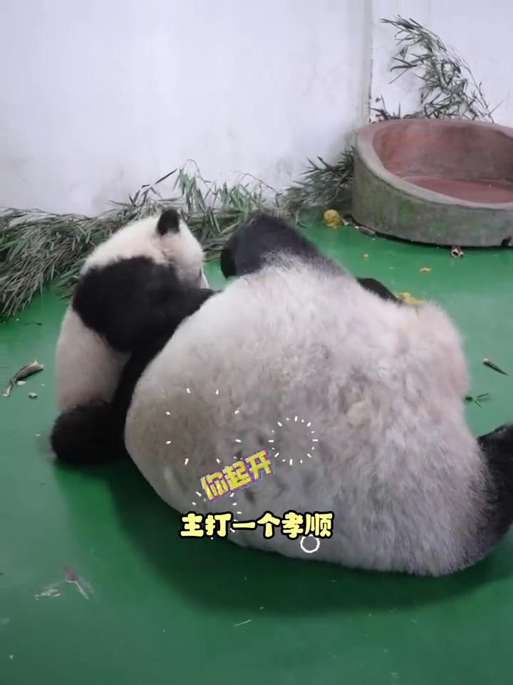 什么？你问我是干什么工作的？工作嘛，平时也是有正经工作的，一般也就是在家当当小王