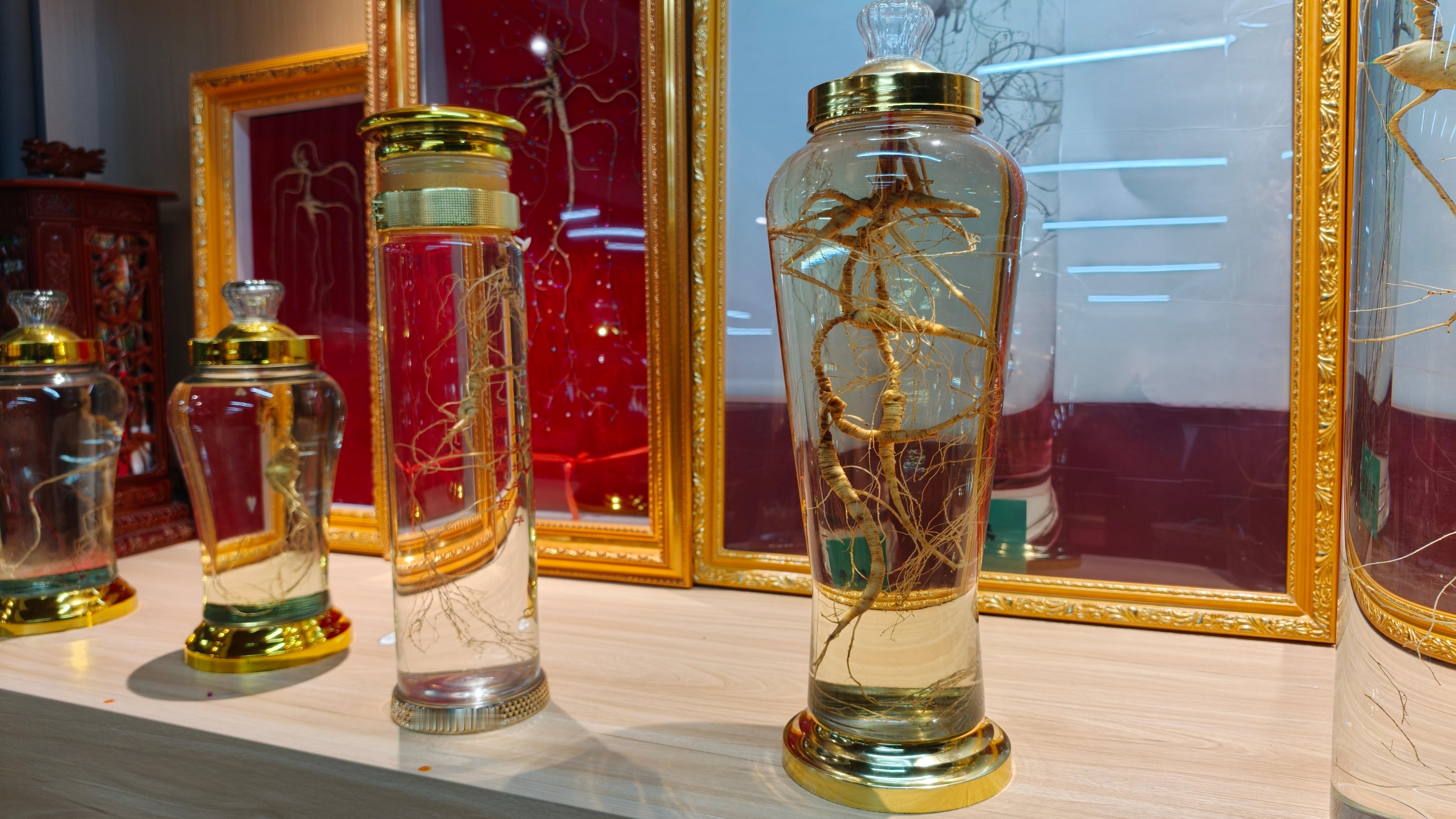 多少年的你们说吧？ 白山·抚松