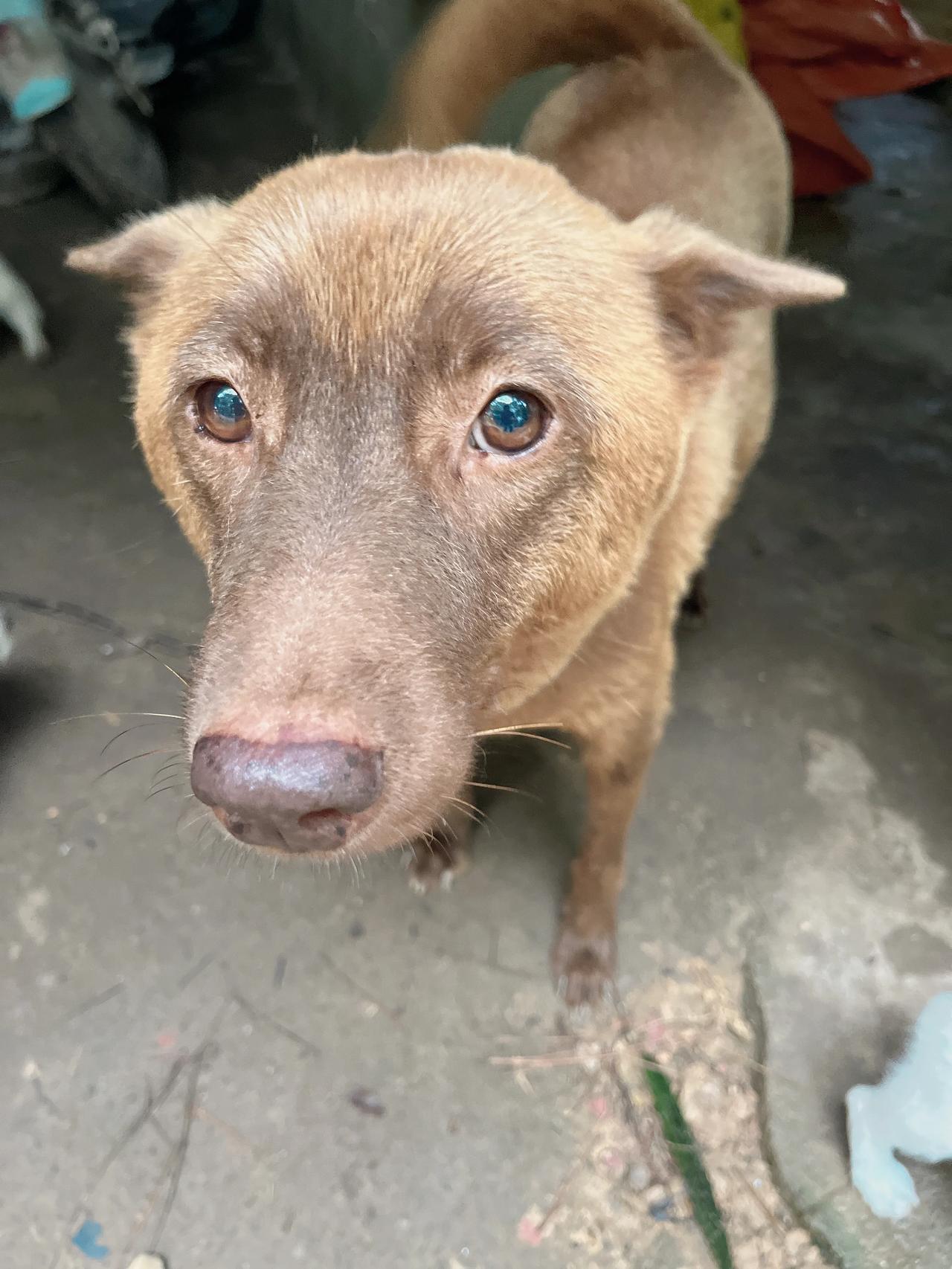 抓到几只小可爱