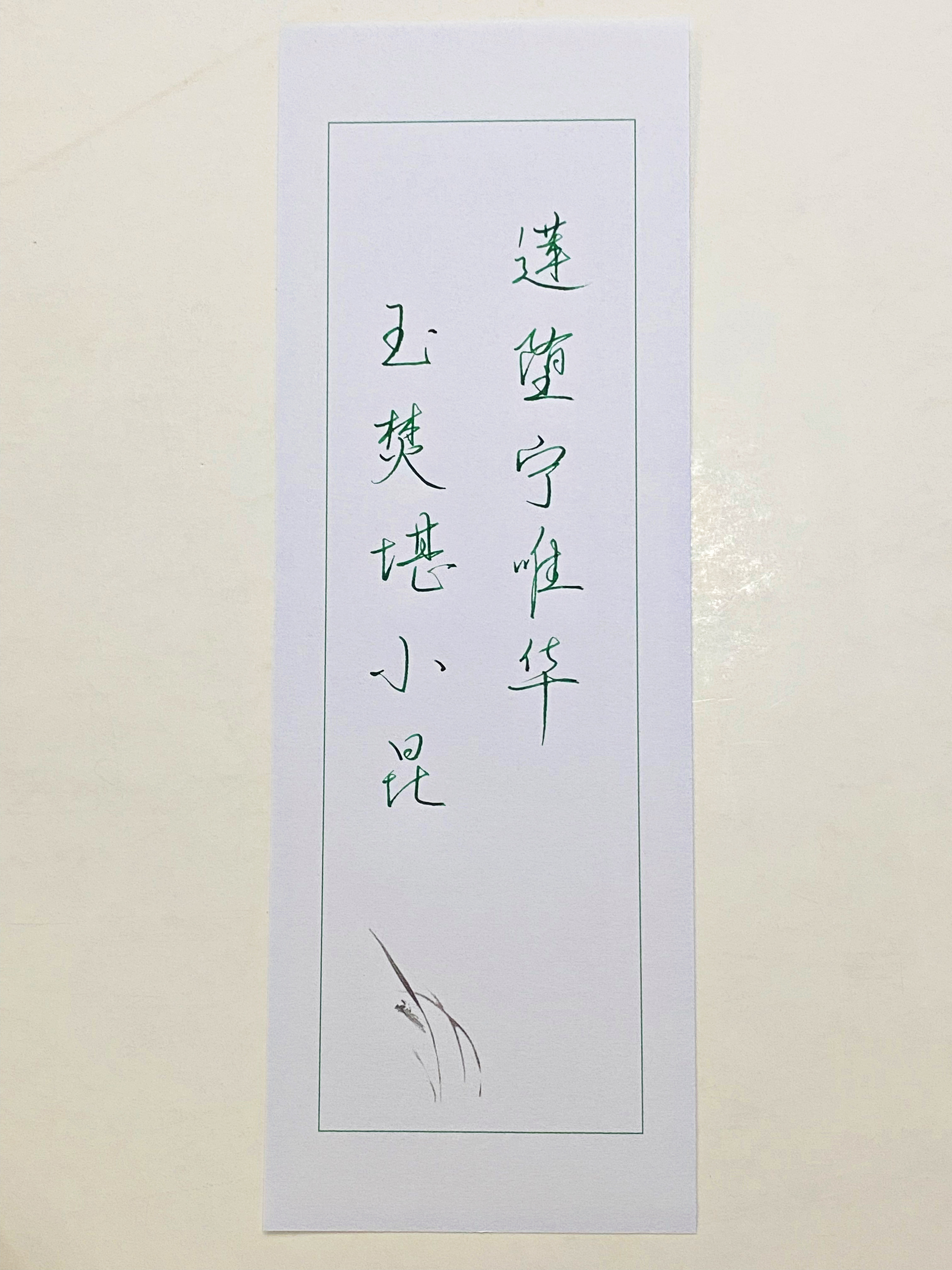 一起写写字莲 