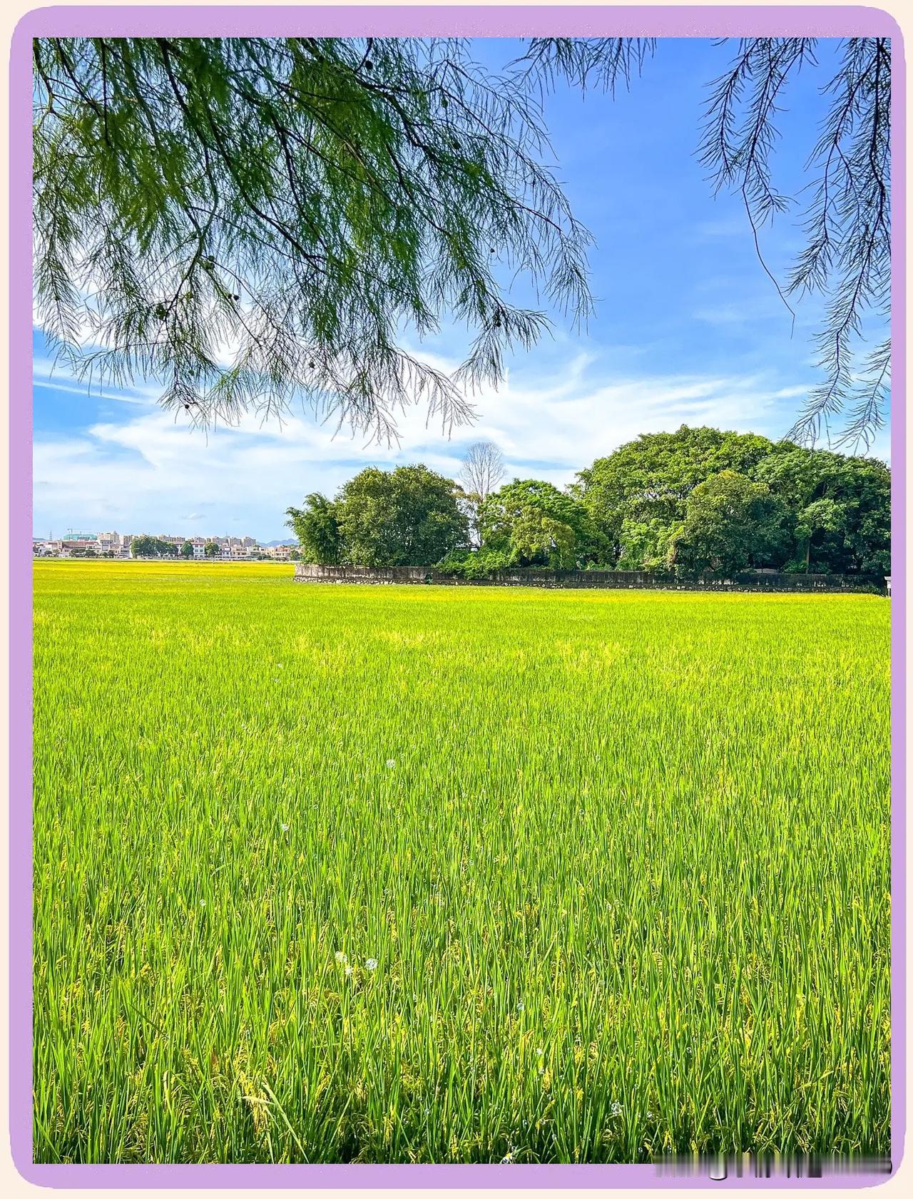 上联：春种秋收忙岁稔
下联：游山玩水度时闲
横批：乐享假期