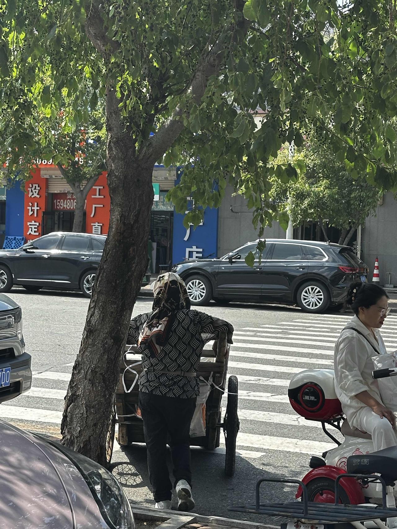 长春街头见到消失多年的架子车，城外见到了毛驴车。