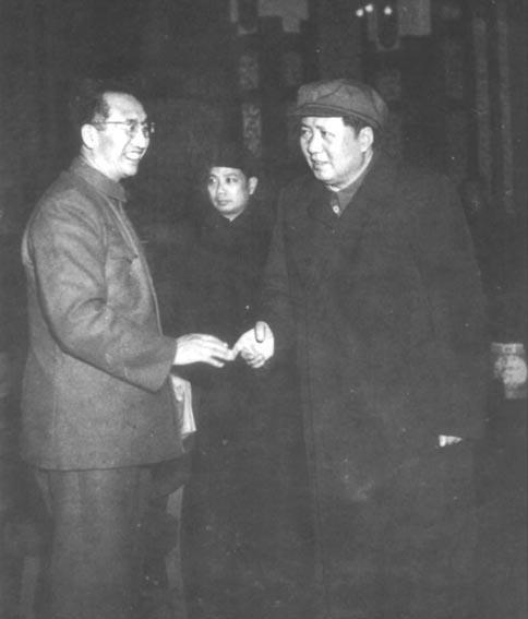 45年毛主席去医院看望徐向前，闲聊中询问：打国民党，你怎么看？

“1945年四