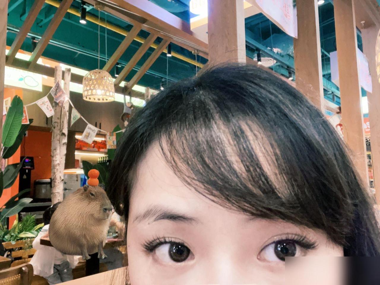 到底是日本还是加拿大！！！！！

想找一个国家找工作。目前有日语N1，且在日本生