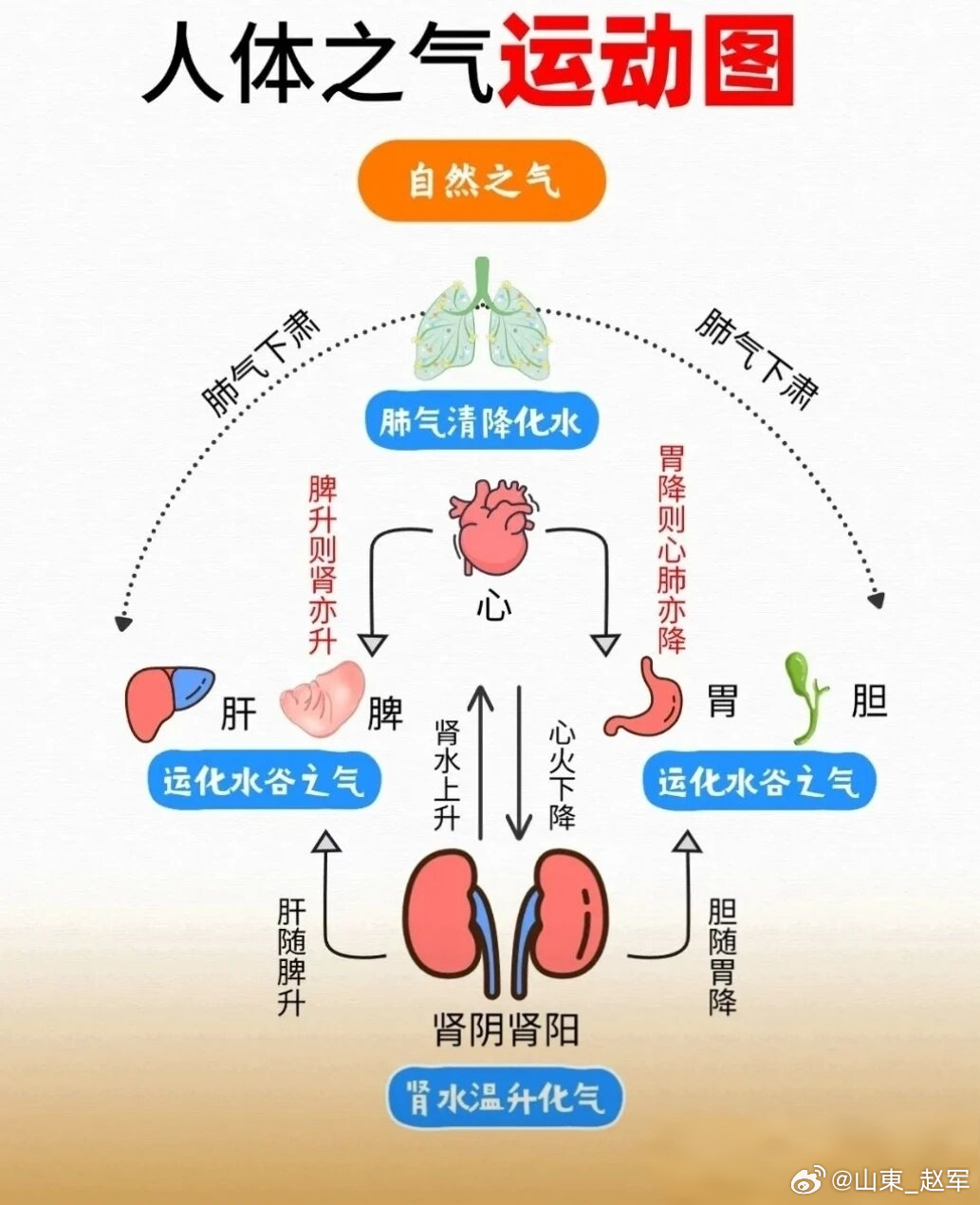 为什么，思伤脾，怒胜思；脾志思而肝志怒，木能克土，此其理也，而曰伤曰胜，义亦显明