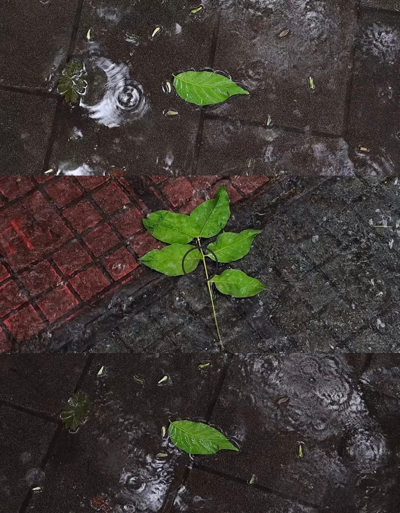 1. 出门前查看实时天气预报、预警信息，合理规划行程。
2. 早晚温差大，及时增