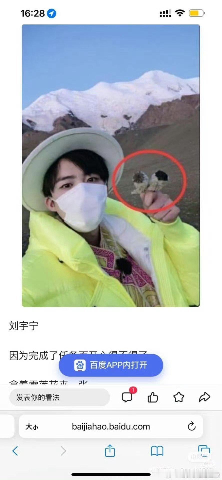 这个真的假的
