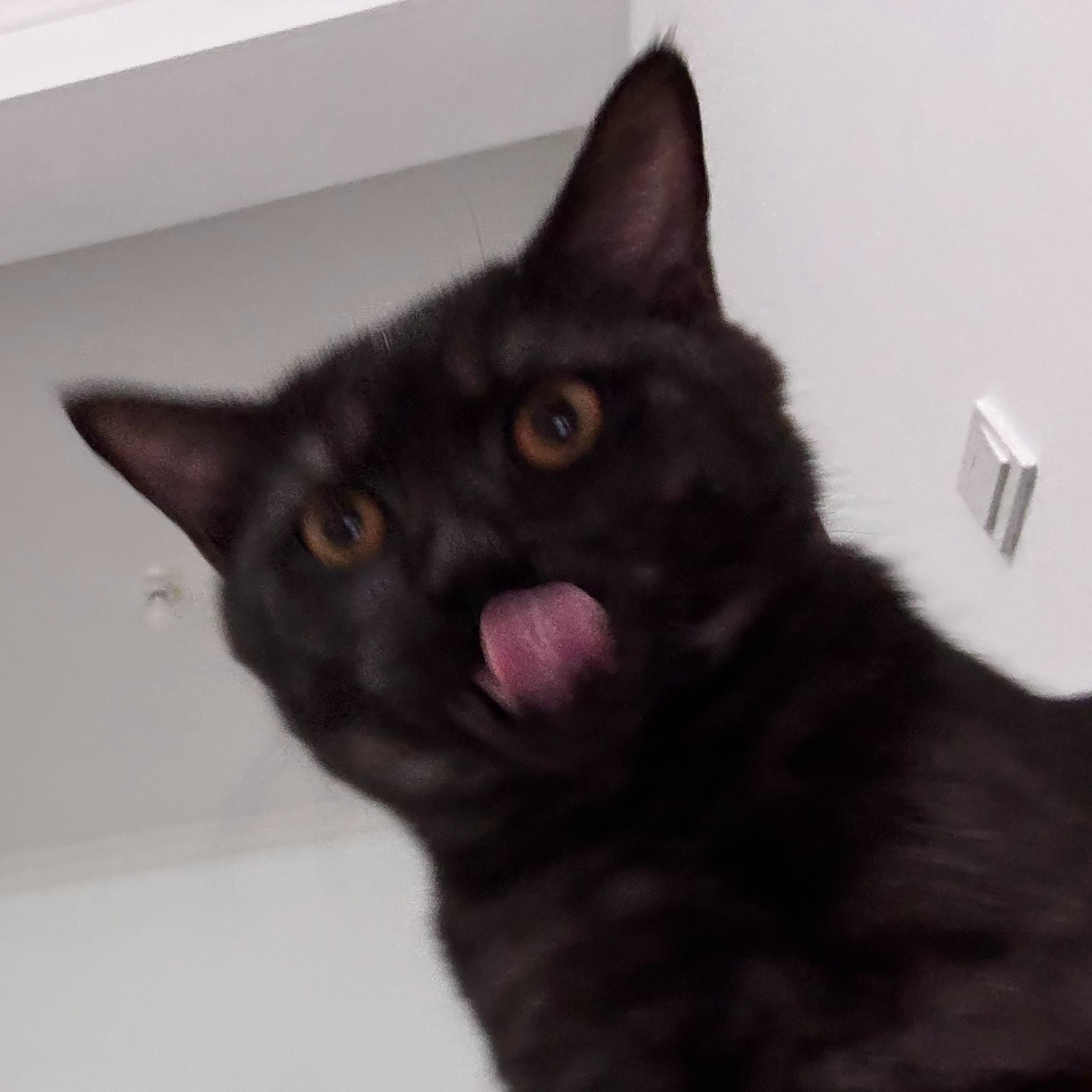 😛好萌 