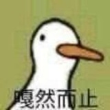 小鸾热聊科技