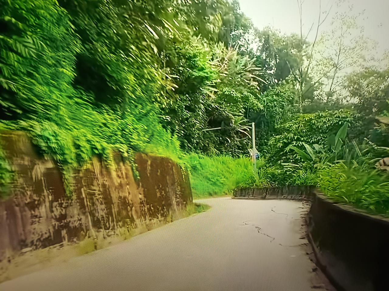 一位上海女主持人在给外国人递话筒时，弯腰屈膝，引发热议，说是怕遮挡嘉宾的面部，但