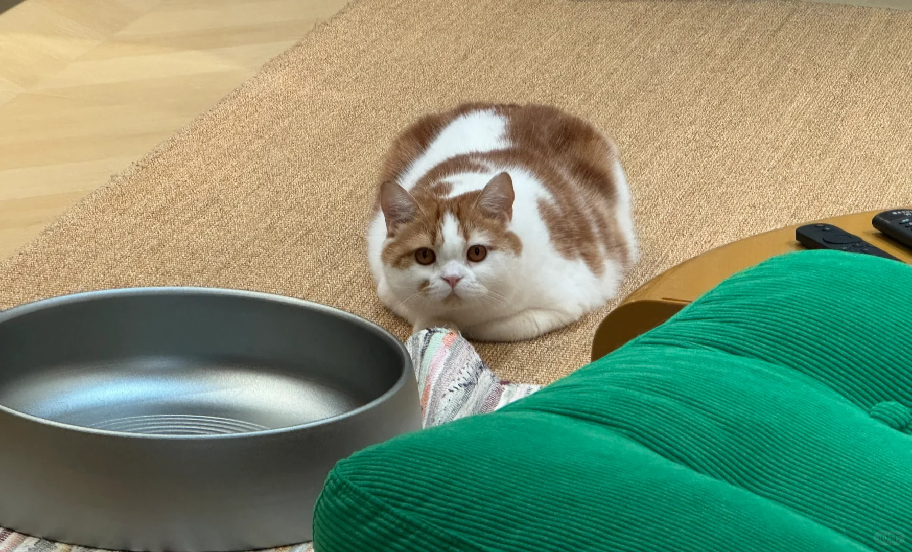 你的手呢宝宝