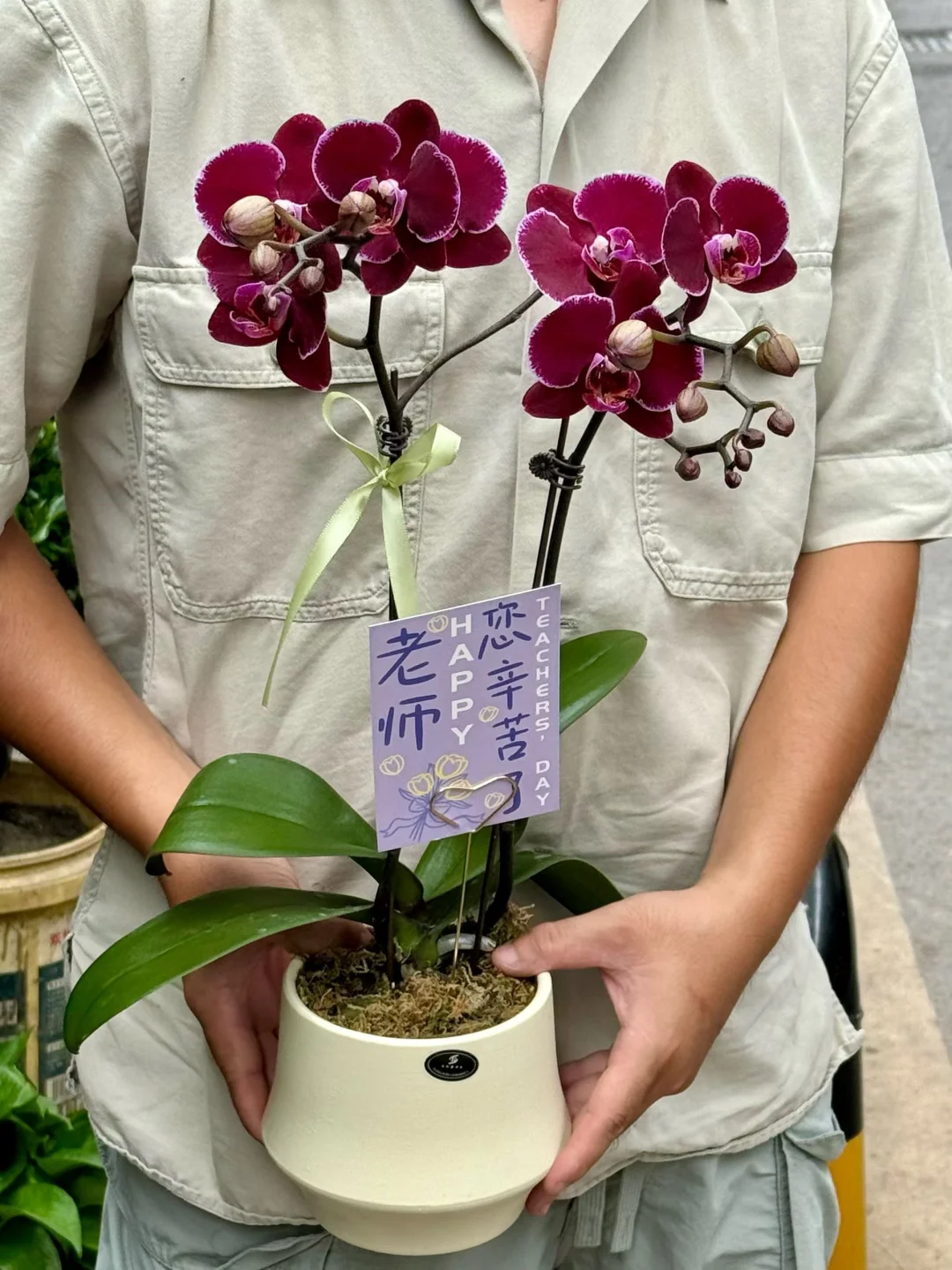 挺急的！到底哪一款送教师节老师好看啊？？