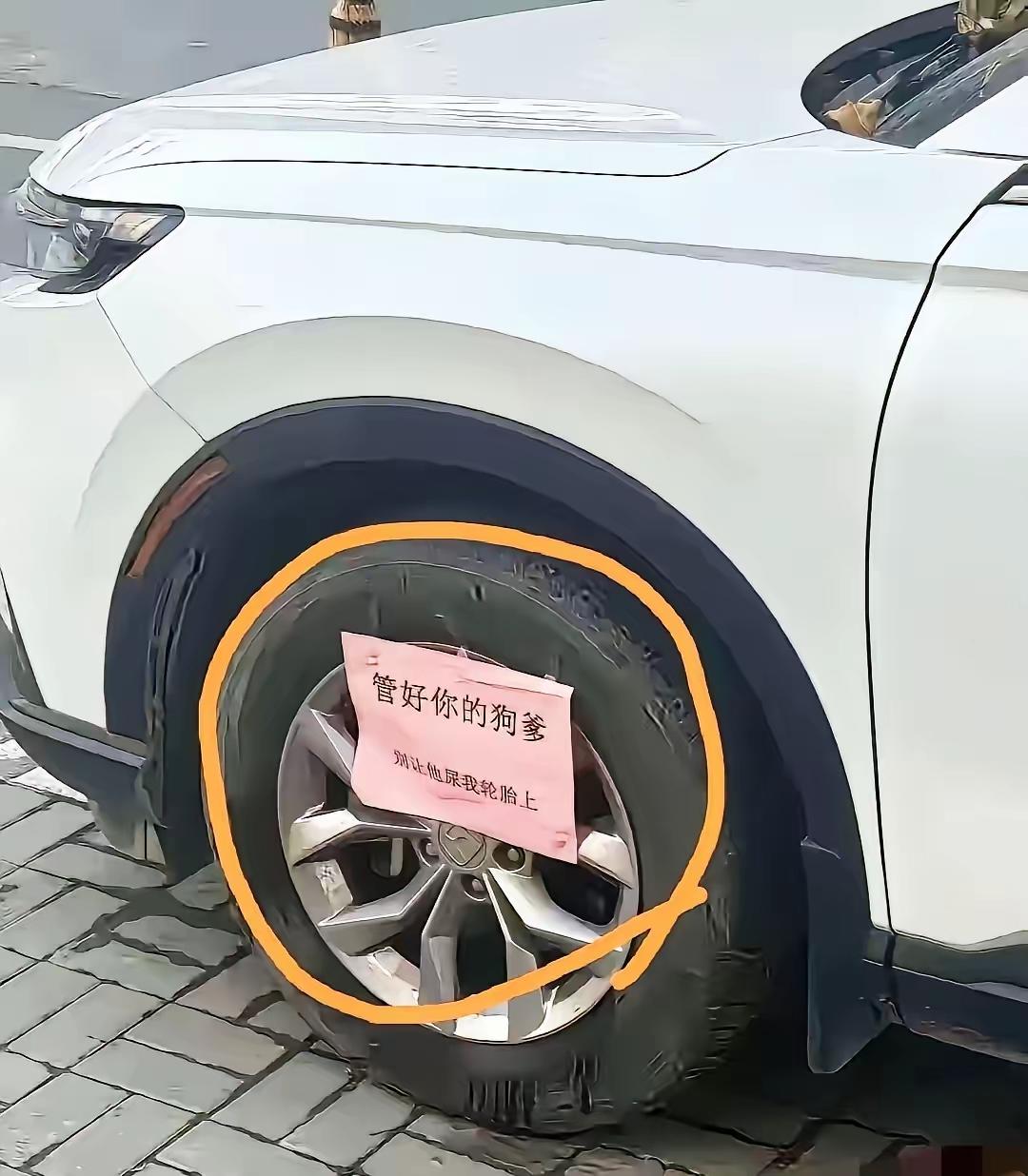 看到如下这几张照片，再想想我们经常看到的现象，真的是把人逼得忍无可忍了。提醒、劝