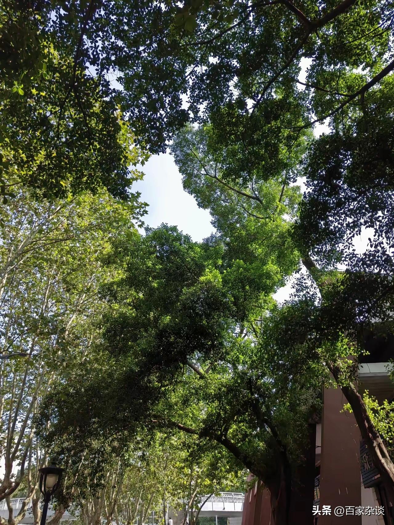 养老，人真的考虑不到这么多！

这两年，参加了周围的几场丧礼，我发现我的心态慢慢