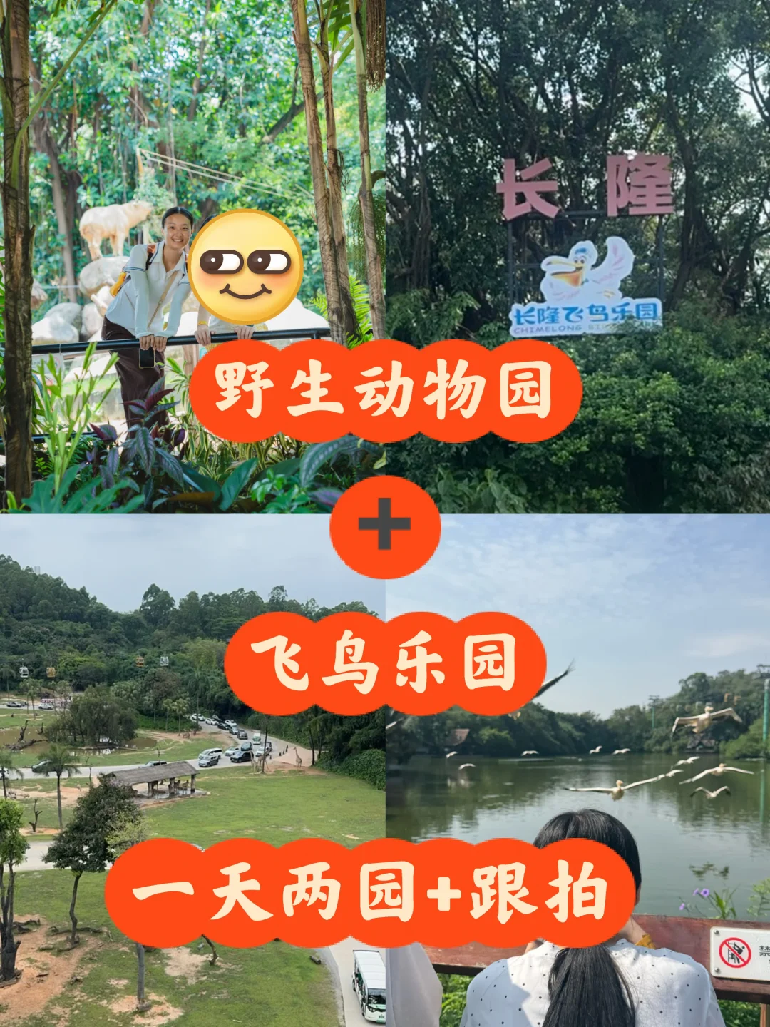 广州长隆四园导游管家媛媛