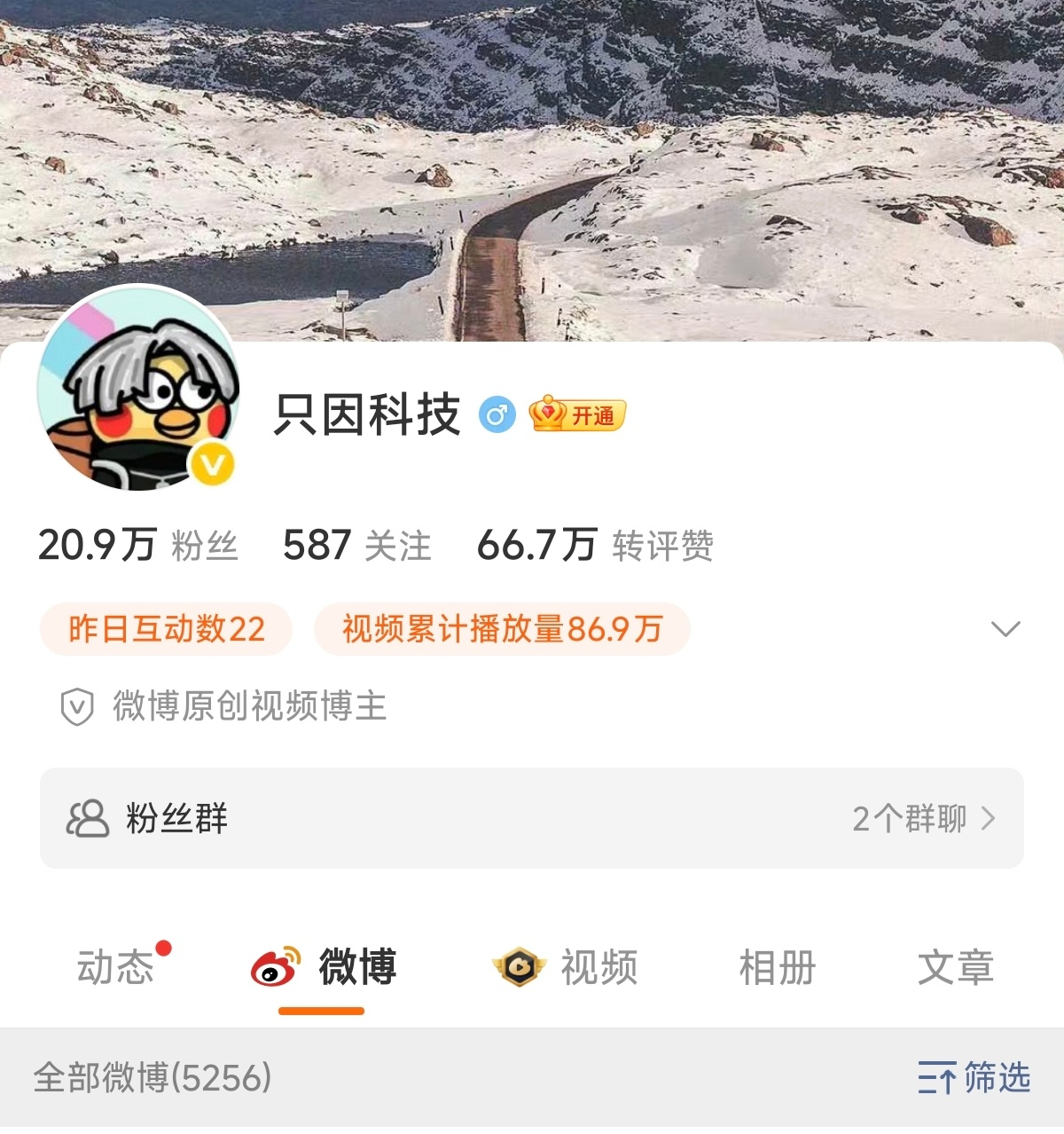 其实我更好奇，只因后来怎么样了 ？ 