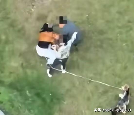 谁也没想到！
这个女孩养狗拴绳了，
竟然还是遭到陌生人殴打，甚至女孩都已经被打到