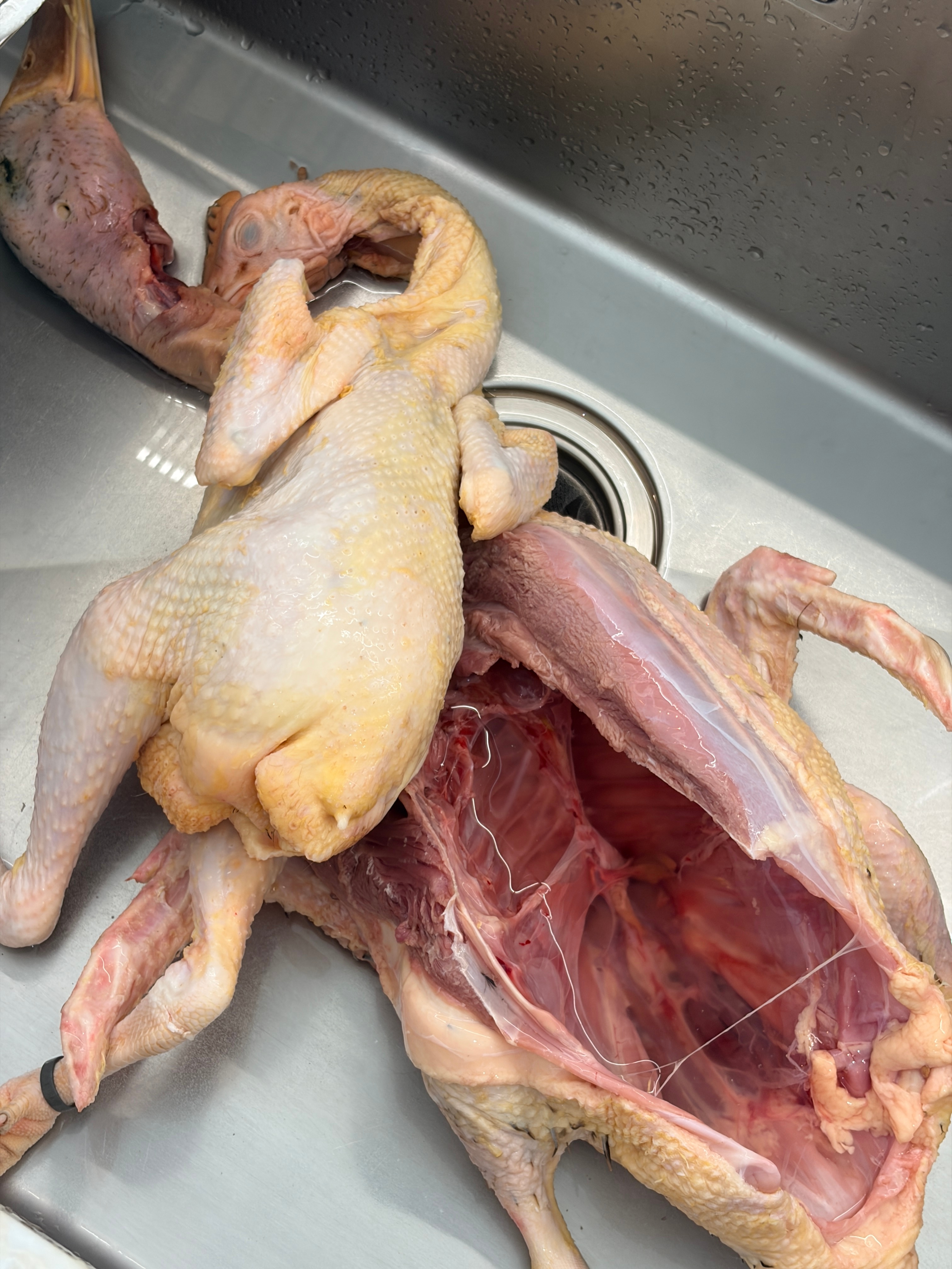 昨天杰灵老爸寄了一些家养的肉禽，今天寄了些鸡鸭，全部都是家养的，被人惦记的感觉真