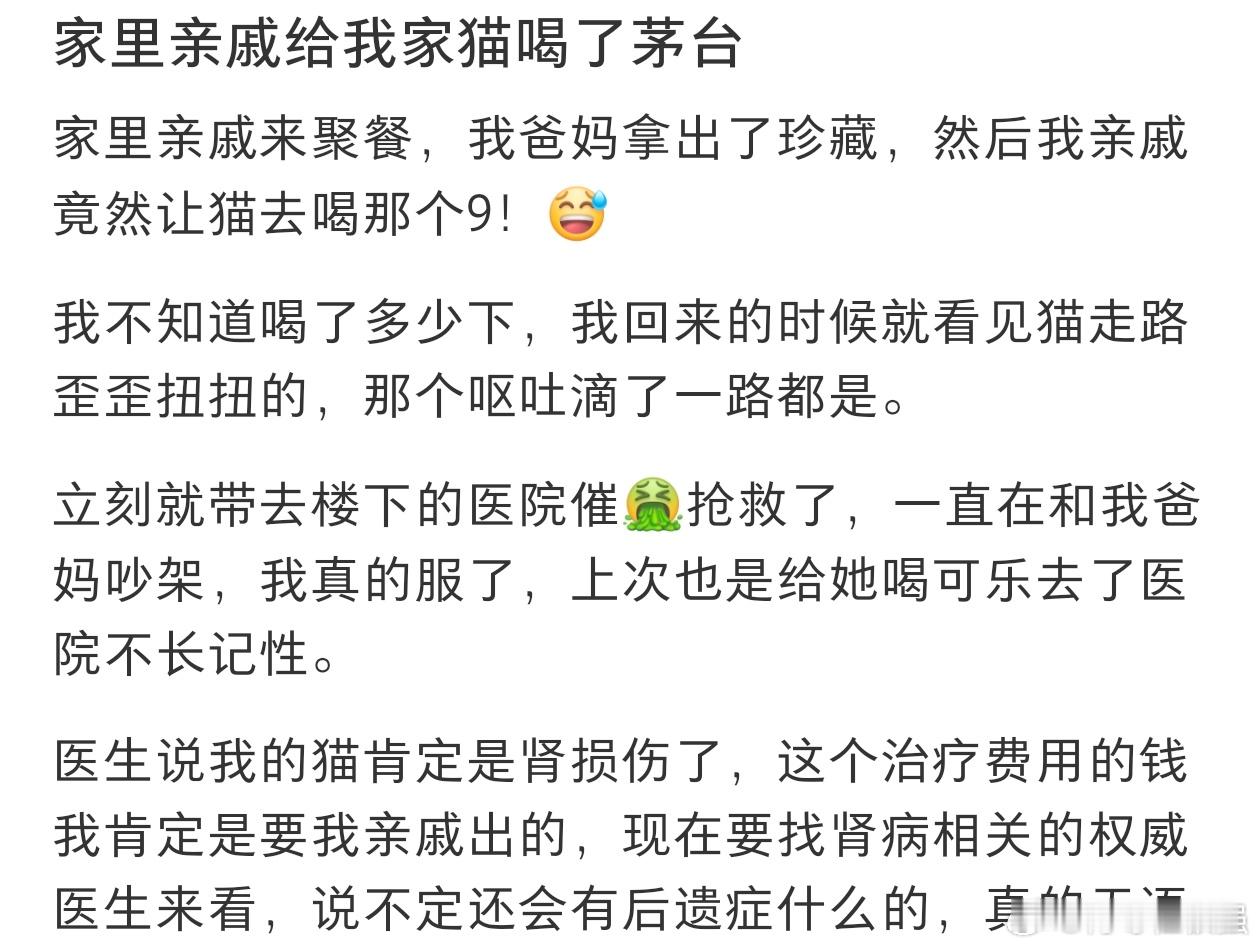 家里亲戚给我家猫喝了茅台 