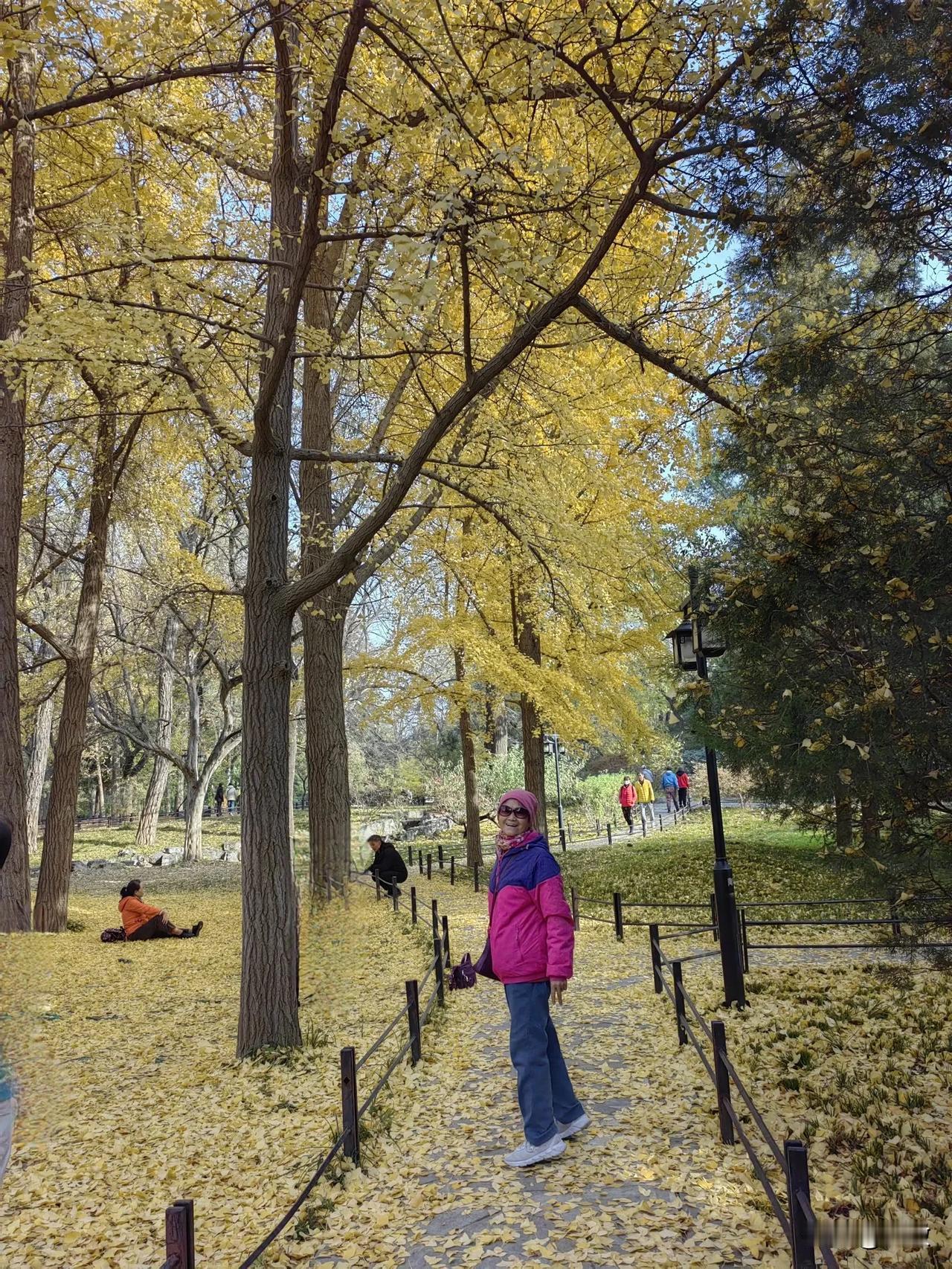 珍惜可贵的时光，笑对变老的夕阳。
养好自己的身体，活出生命的质量！