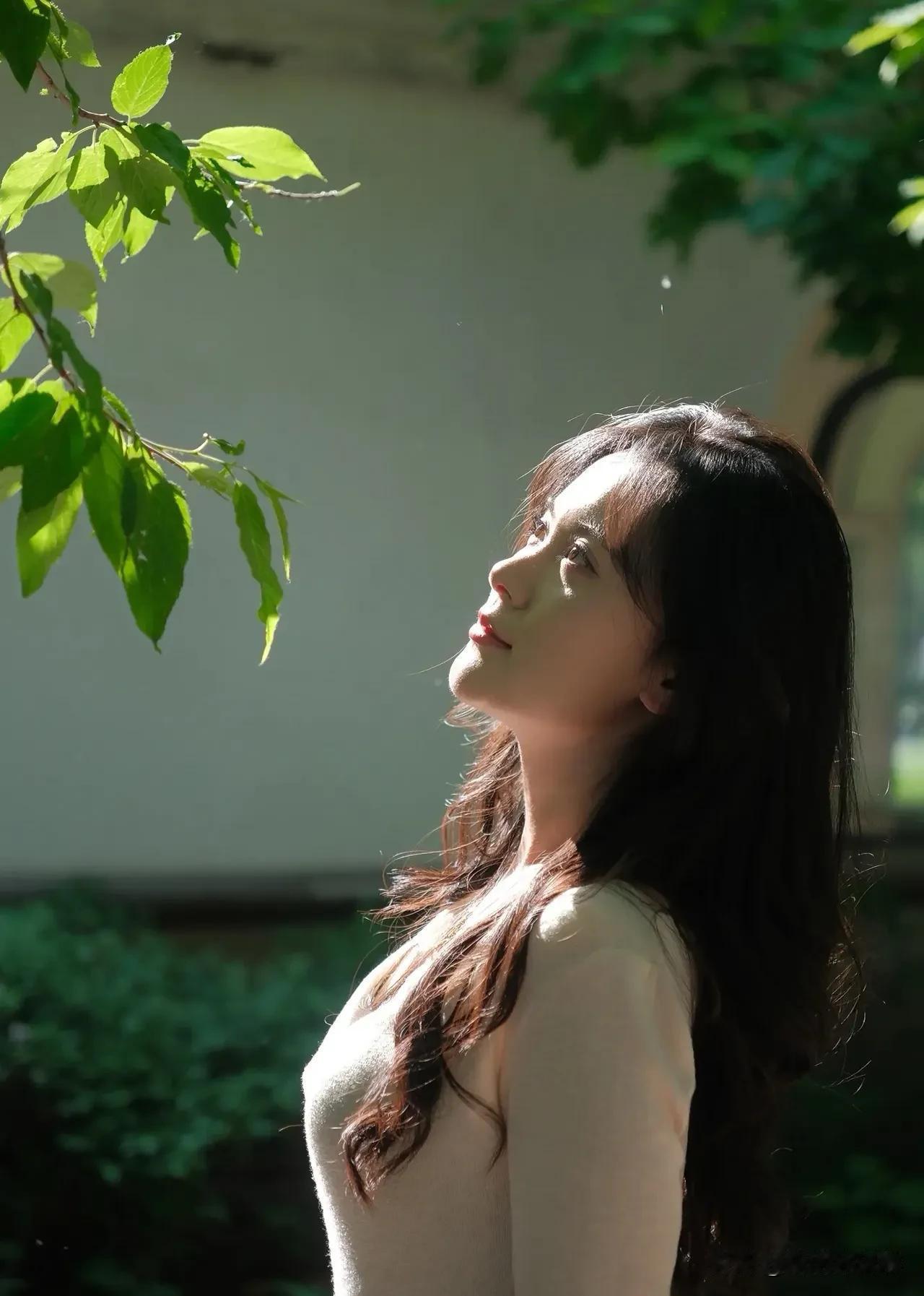 阳光洒落，唤醒慵懒午后。  
每一缕光都是生活的温柔馈赠，  
此刻，让心灵在光