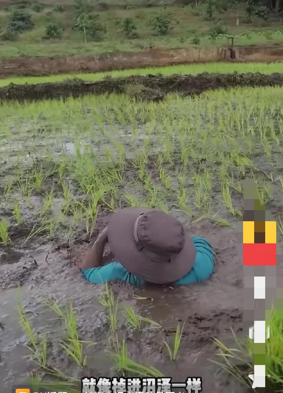 这样的田人陷下去了还能移动吗