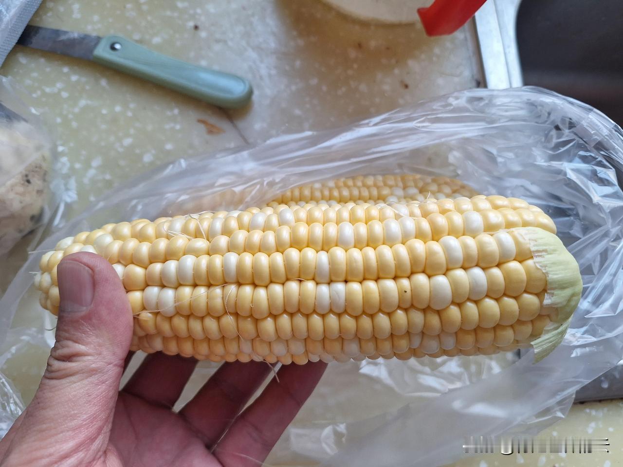 现在蔬菜好贵啊，番茄24块一公斤，算下来这一个就要两块八；香菜是42一公斤，一个