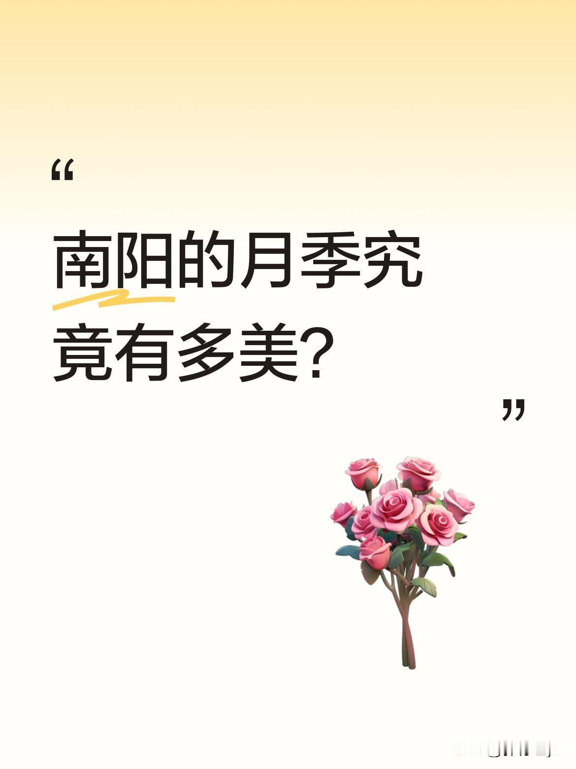南阳的月季究竟有多美？
"帝乡月季满城闉，万亩霞绡次第新"，诗人笔下的南阳月季如