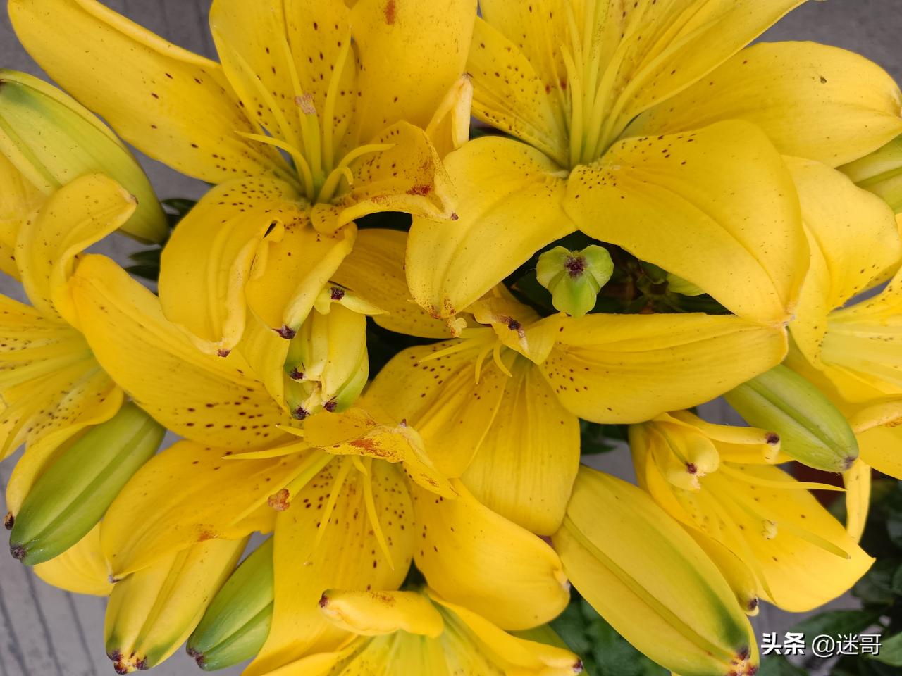 今年春天最想实现的心愿：
家人平安健康，日子安稳顺遂，想做的事都有眉目，想见的人