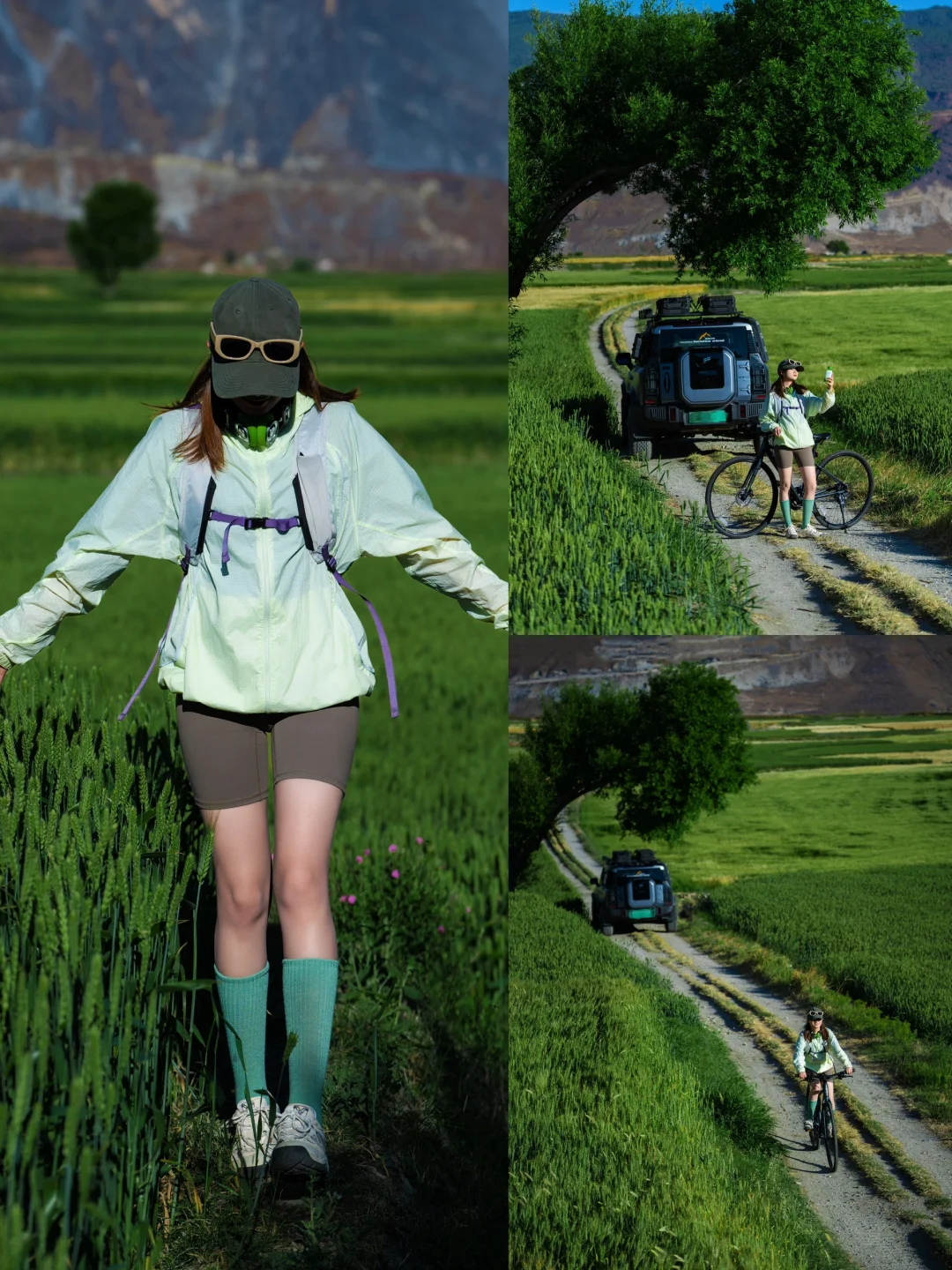 赴一场麦田之约 在风吹麦浪里骑行