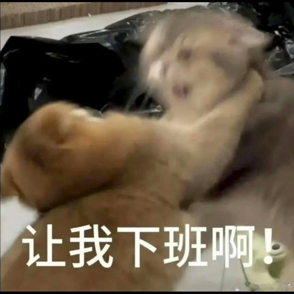 抽象表情包。 