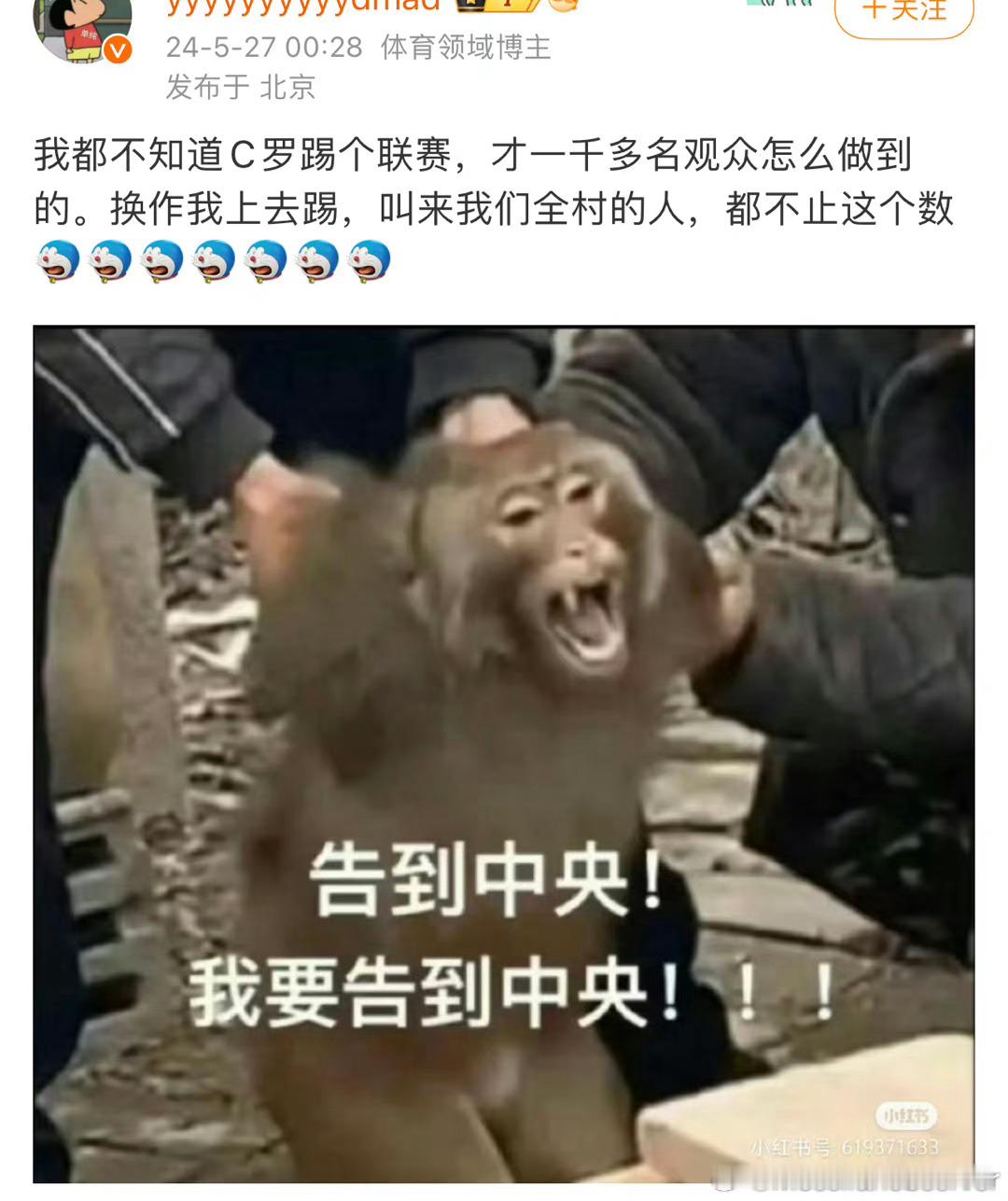我哥球迷小一万找到数据搭子了 ​​​