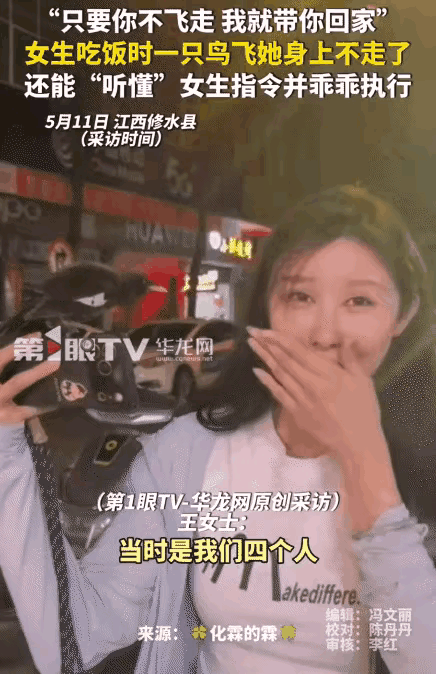 这是我在网上看到最离奇的一件事情，姑娘一句话可以带小鸟回家，莫非前世美女就与小鸟