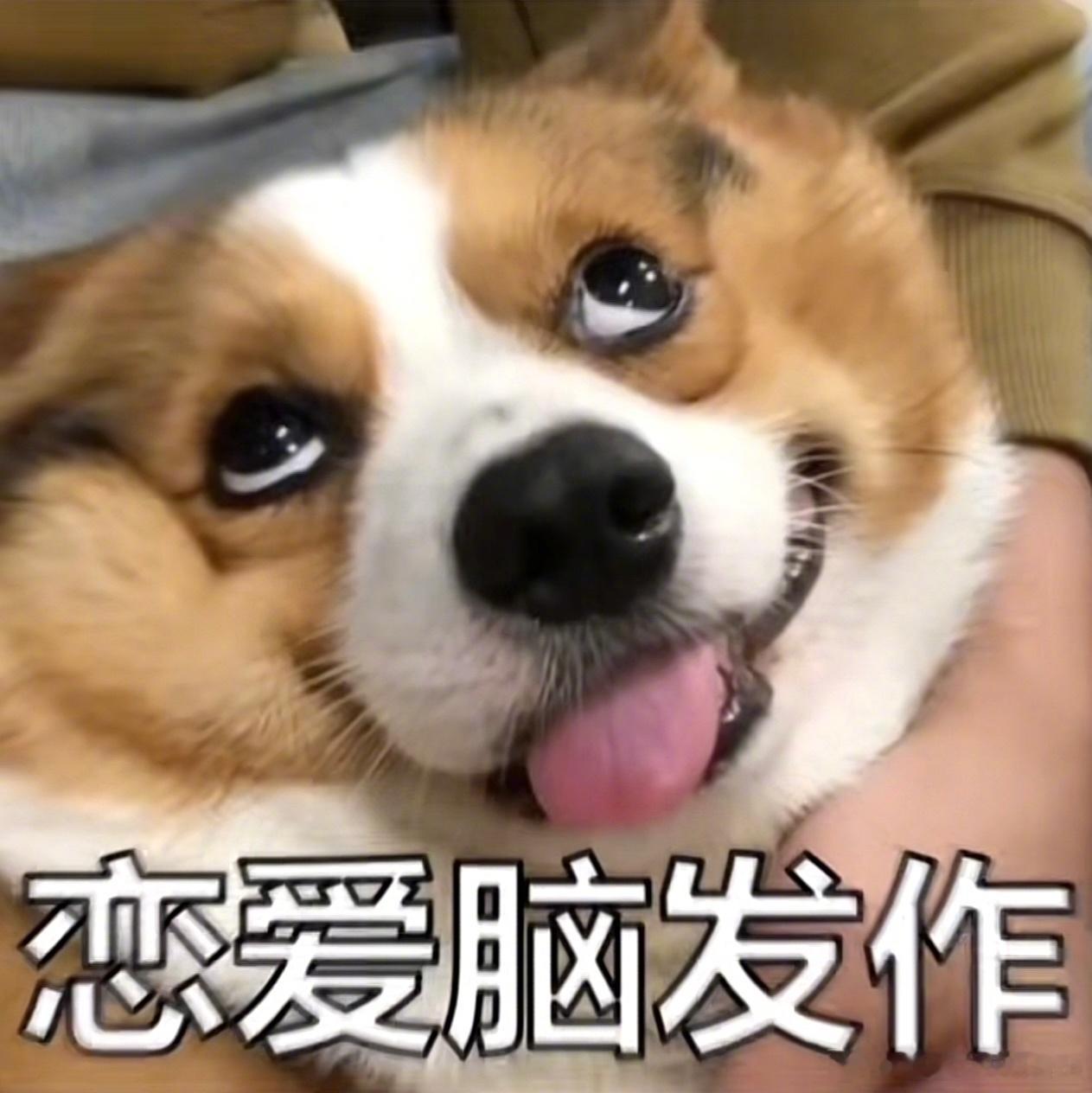 十二星座的恋爱底线：白羊：可以吵架，但绝不能被欺骗金牛：可以平淡，但真心不能被践