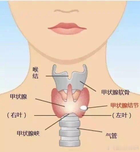 #乳腺和甲状腺结节真是气出来的吗##全民营养提升计划##健闻登顶计划# 被“气”