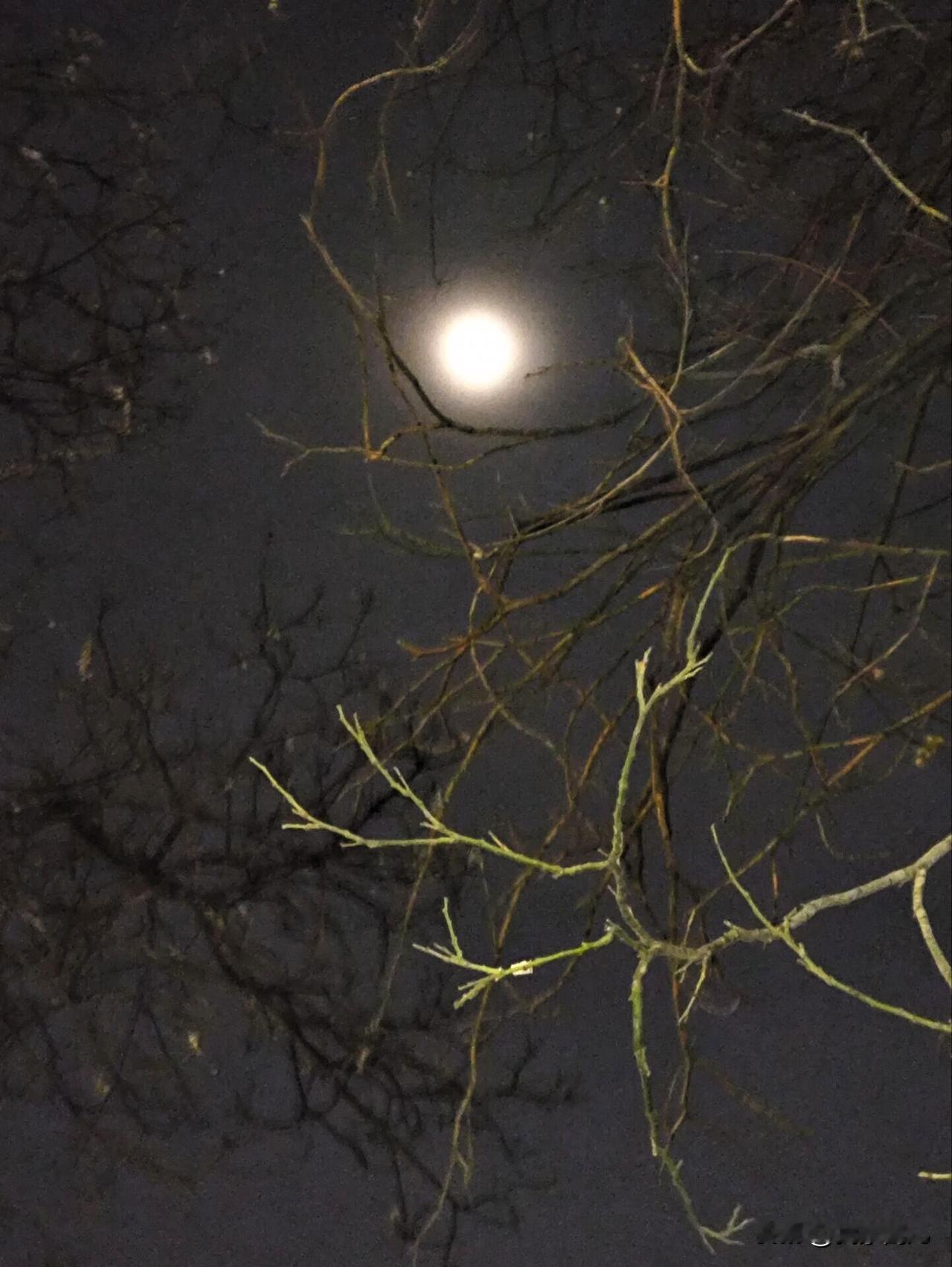 [玫瑰]新元肇启，万象更新[玫瑰]
 [烟花]感恩岁月里最美的遇见[烟花]
[微