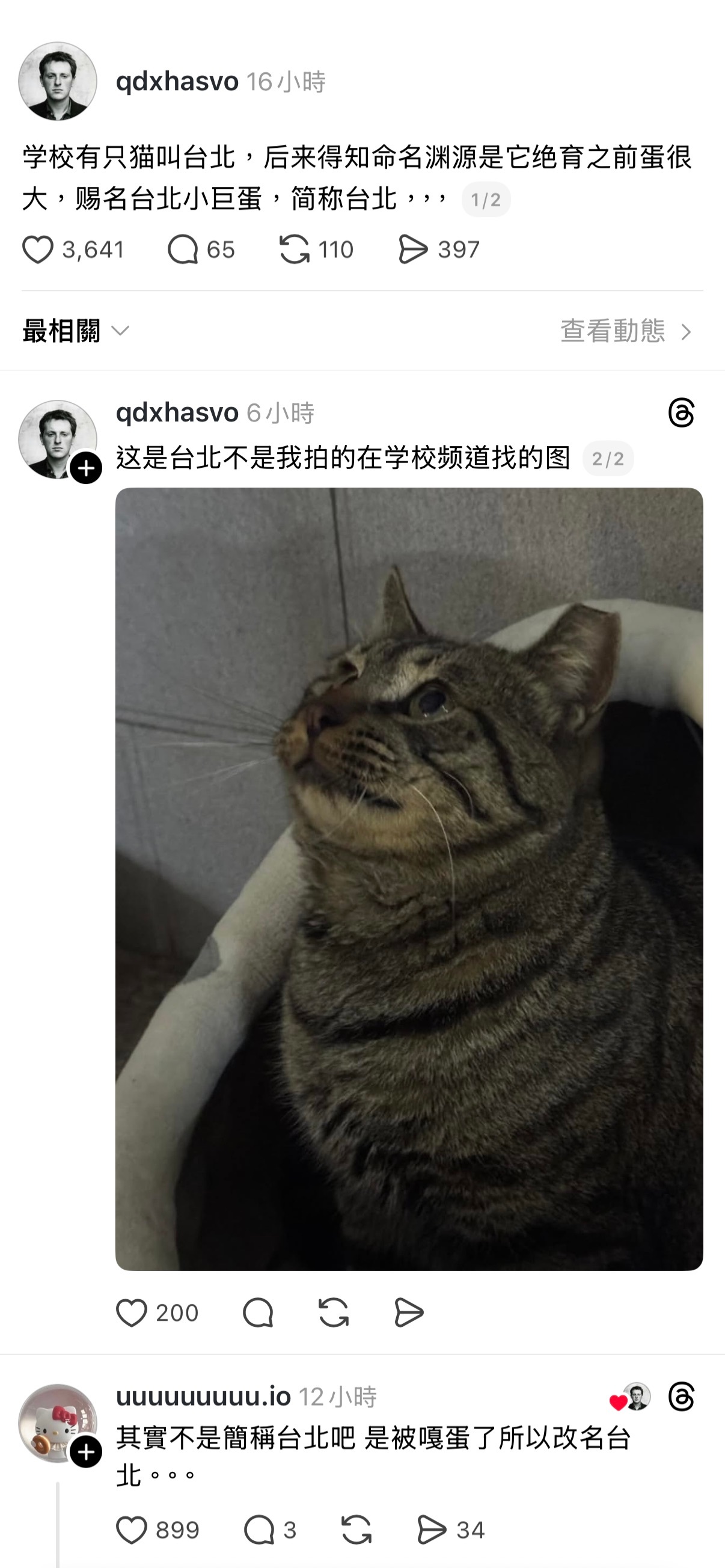 学校有只猫叫台北，后来得知命名渊源是它绝育之前蛋很大，赐名台北小巨蛋，嘎蛋后改名