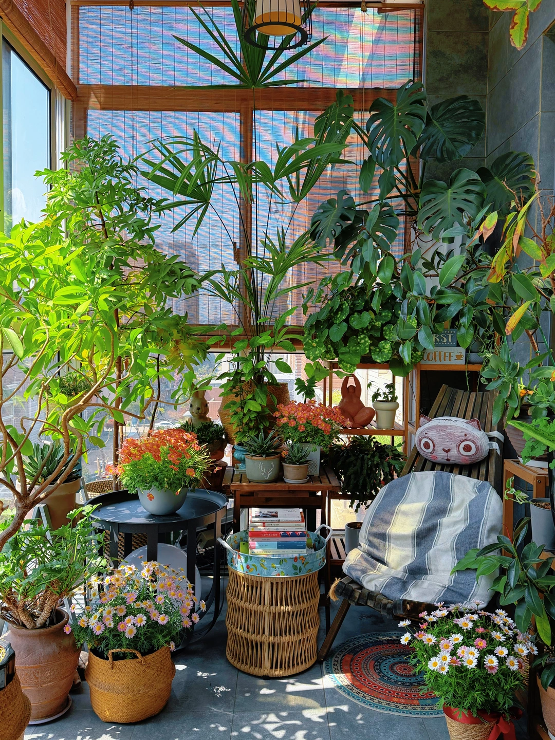 🌿封闭阳台也能种出小森林？我做到了‼️