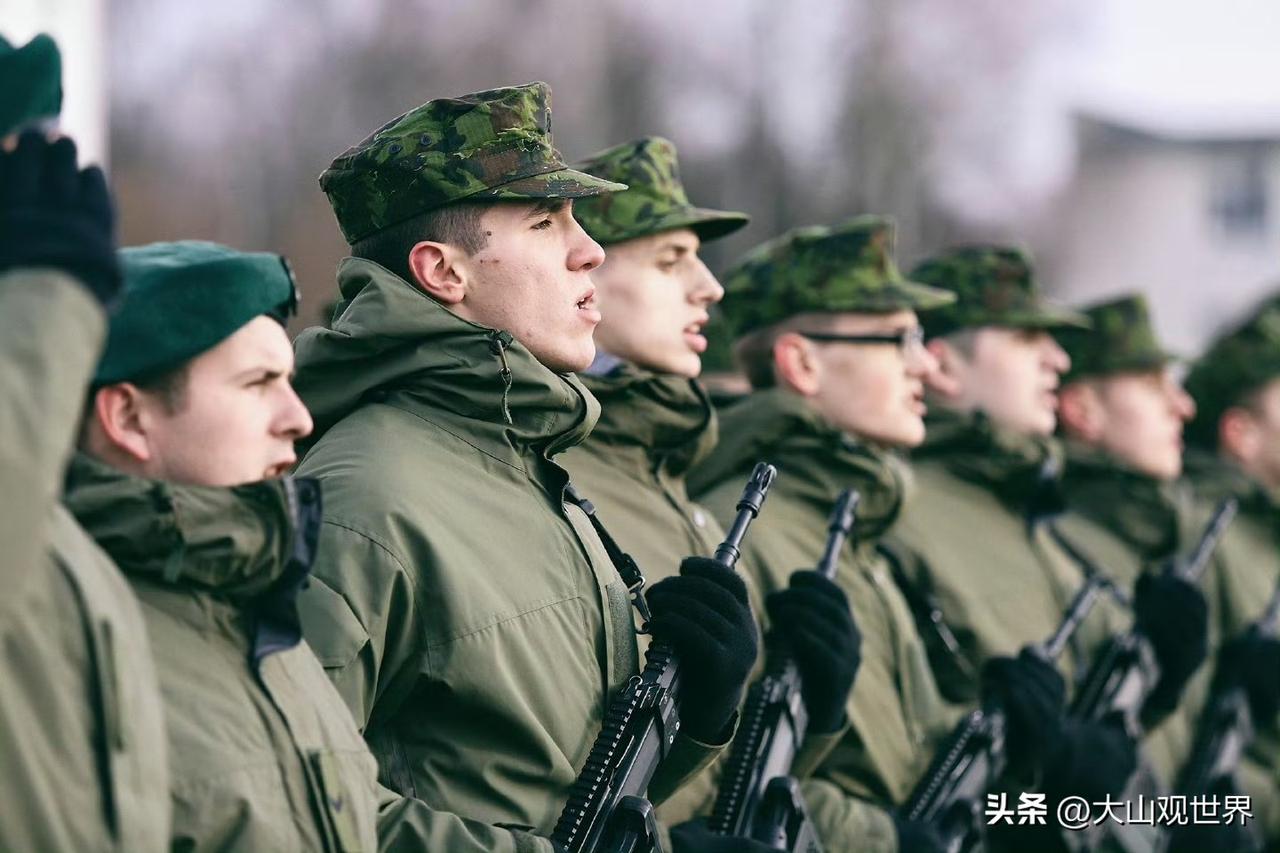 笑不活！立陶宛嘴炮打伊朗？2万兵没坦克，表忠心还是博眼球？
 
美以军事行动闹得