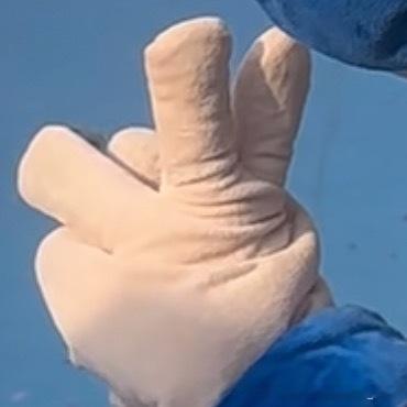 整点我要发一条微博 