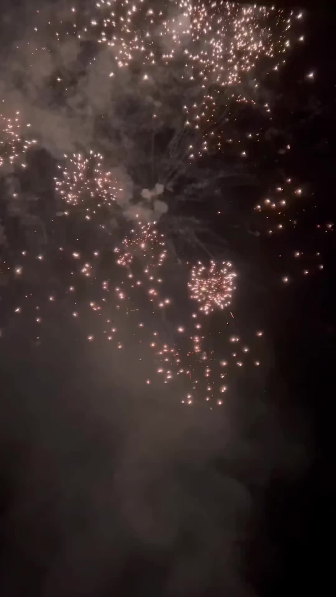 那就让遗憾的人和事在新年的幕幕烟花中结束