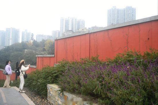 #重庆版故宫红墙扮靓嘉陵江畔#近日，半山崖线步道风景美不胜收，重庆版“故宫红墙”