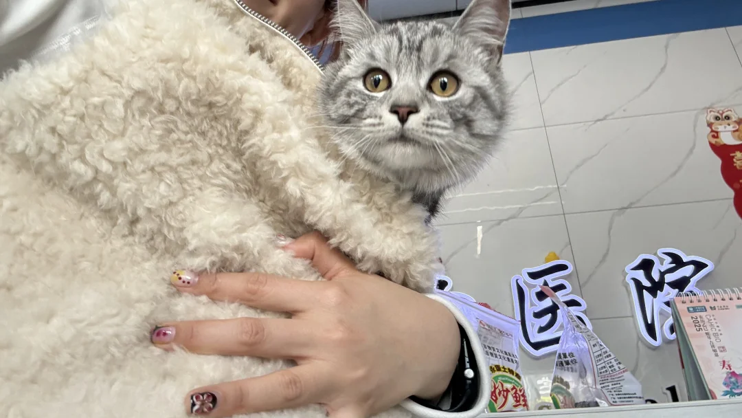 上班暂停 喜迎三胎