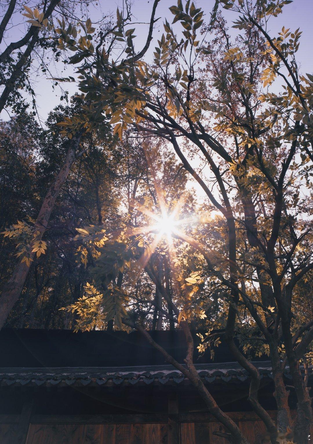 张凌赫镜头下的街景张凌赫街拍摄影师上线 我们的街拍摄影师张凌赫上线，张凌赫镜头下