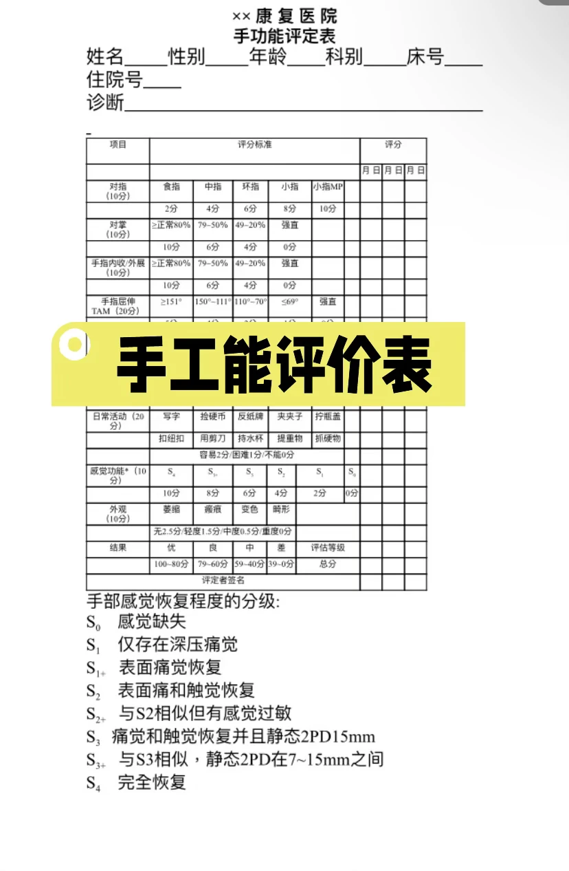 手功能评价表