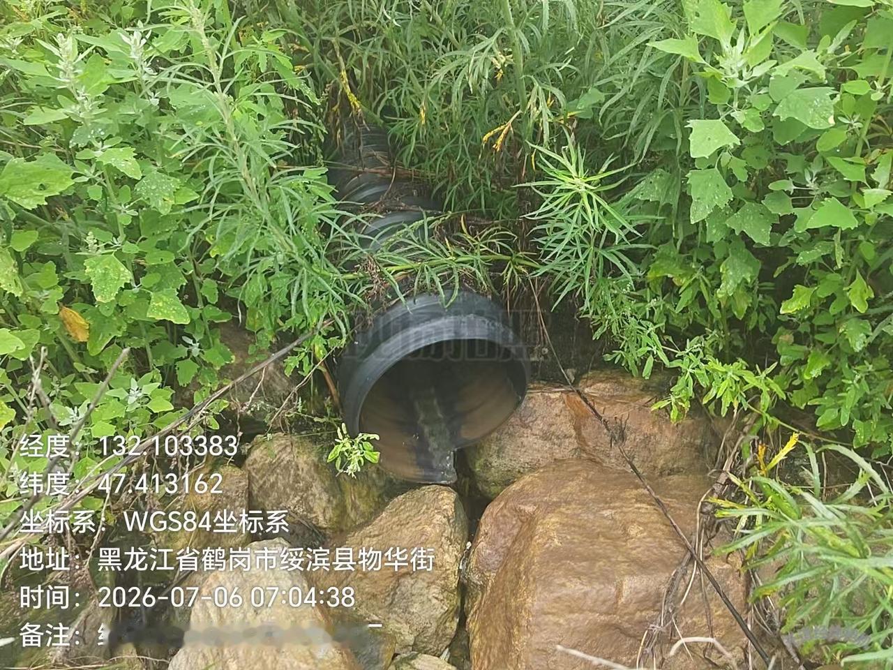 为我的真诚创作点赞！ 👍❤️🔥